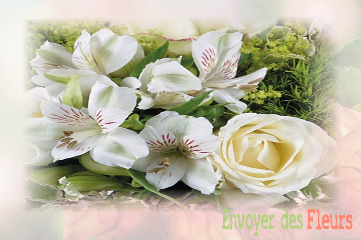 envoyer des fleurs à à MONTBRUN-DES-CORBIERES